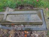 image of grave number 556394